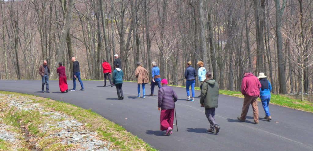 Dharmakaya Center for Wellbeing 3